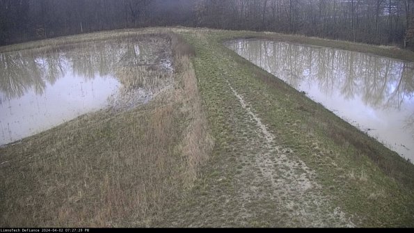 Cell 4 to Basin_24-04-02_19-27-29-53