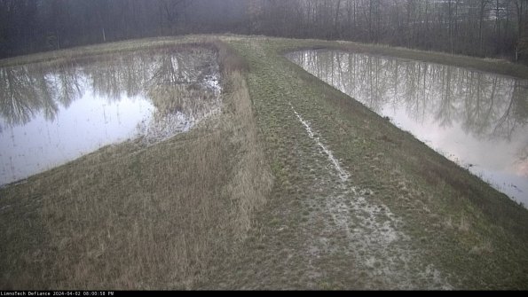 Cell 4 to Basin_24-04-02_20-00-58-51