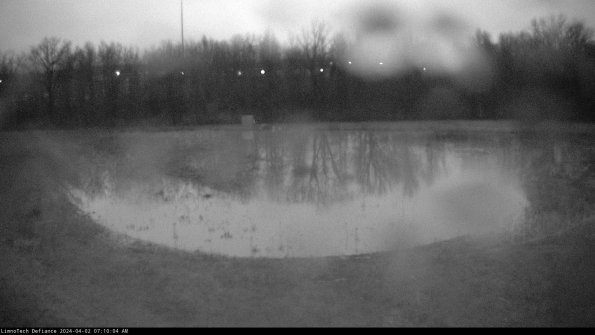 Cell 4_24-04-02_07-10-04-48