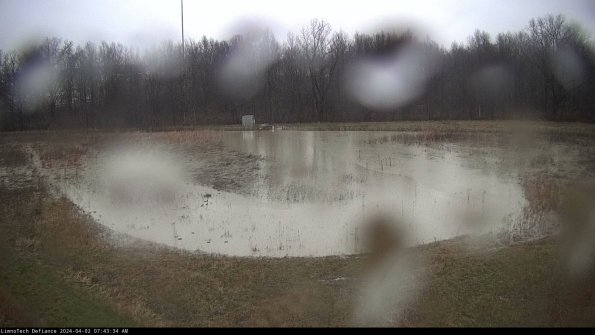 Cell 4_24-04-02_07-43-34-49