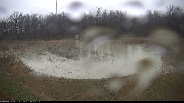 Cell 4_24-04-02_08-17-04-51