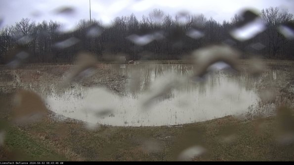 Cell 4_24-04-02_08-43-46-55