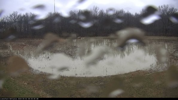 Cell 4_24-04-02_08-50-40-60