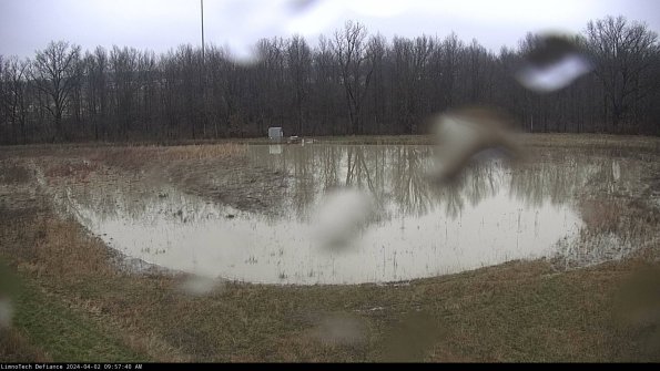 Cell 4_24-04-02_09-57-40-49