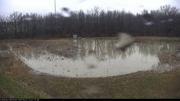 Cell 4_24-04-02_10-31-10-51