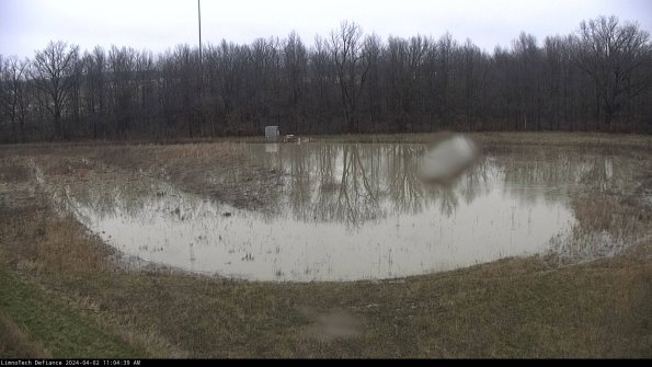 Cell 4_24-04-02_11-04-39-49