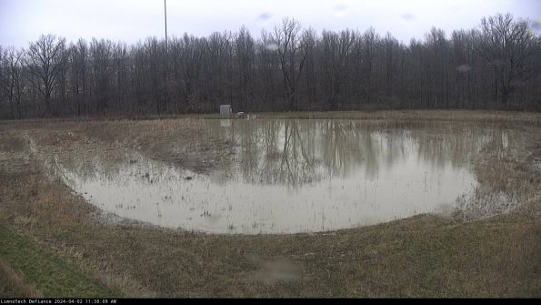 Cell 4_24-04-02_11-38-09-51