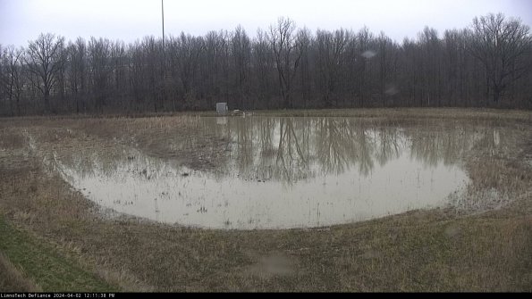 Cell 4_24-04-02_12-11-38-52