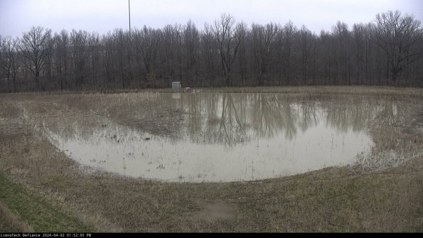 Cell 4_24-04-02_13-52-05-47