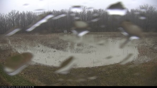 Cell 4_24-04-02_15-32-32-48