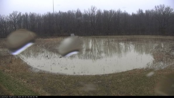 Cell 4_24-04-02_16-06-02-50