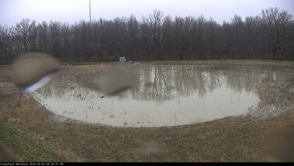 Cell 4_24-04-02_16-39-31-51