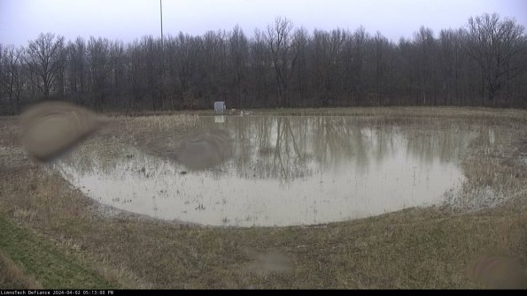 Cell 4_24-04-02_17-13-00-50