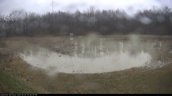 Cell 4_24-04-02_17-46-30-51