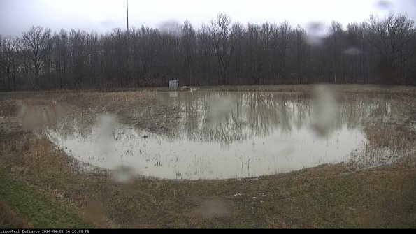 Cell 4_24-04-02_18-20-00-50