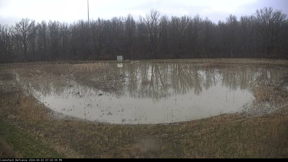 Cell 4_24-04-02_19-26-59-50