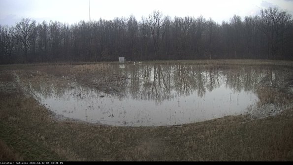 Cell 4_24-04-02_20-00-28-48