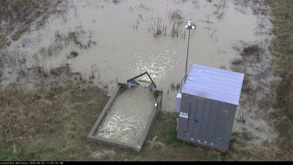 Flume_24-04-02_11-03-03-49