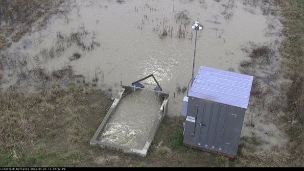 Flume_24-04-02_12-10-02-49