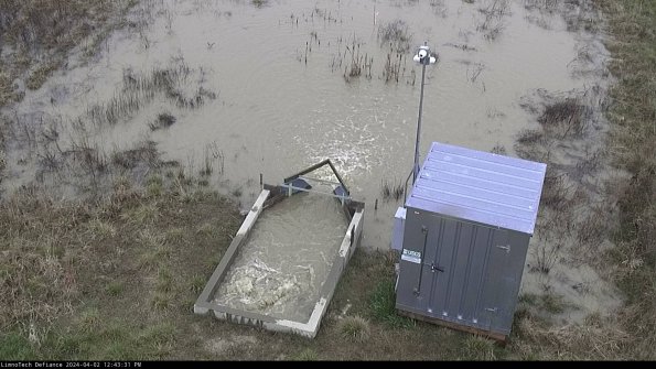 Flume_24-04-02_12-43-31-51