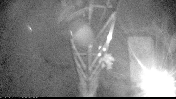 Hatch_24-04-02_07-00-00-54