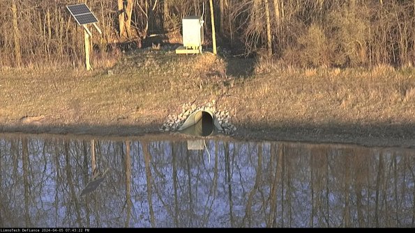 Basin Inflow_24-04-05_19-43-23-30