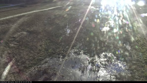 Cell 1_24-04-05_19-07-33-31