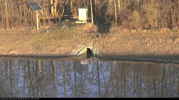 Basin Inflow_24-04-06_19-43-33-43