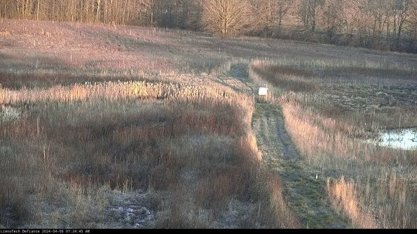 Cell 1 to 2_24-04-06_07-24-46-31