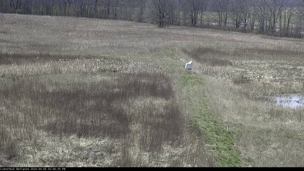 Cell 1 to 2_24-04-06_14-06-36-32