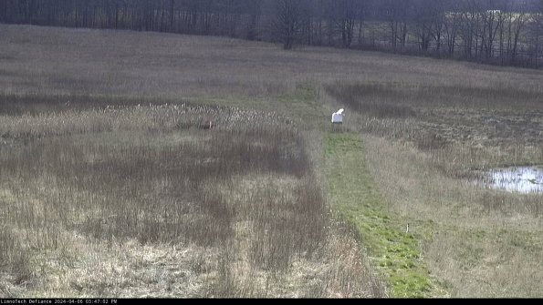 Cell 1 to 2_24-04-06_15-47-03-30