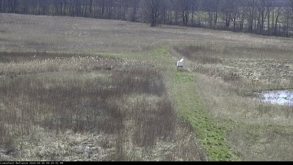 Cell 1 to 2_24-04-06_16-20-33-32