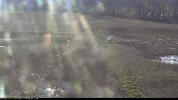 Cell 1 to 2_24-04-06_18-34-30-30