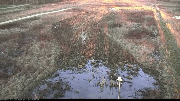 Cell 1_24-04-06_07-24-32-32