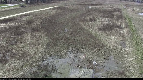 Cell 1_24-04-06_14-06-22-30