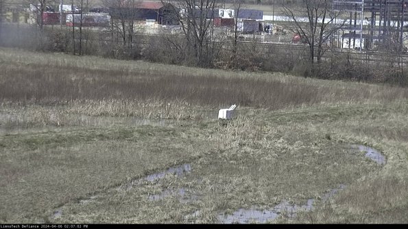 Cell 2 to 3_24-04-06_14-07-02-54