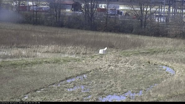 Cell 2 to 3_24-04-06_15-47-29-56