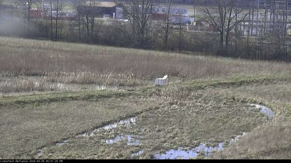 Cell 2 to 3_24-04-06_18-01-27-34