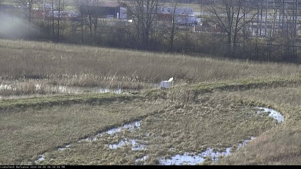 Cell 2 to 3_24-04-06_18-34-56-53