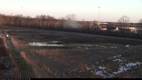 Cell 2_24-04-06_07-24-59-39