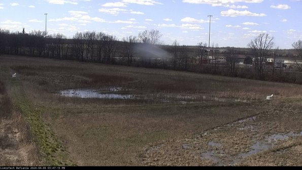 Cell 2_24-04-06_15-47-16-42