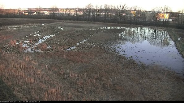 Cell 3_24-04-06_07-25-26-58