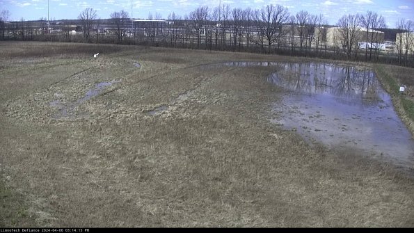 Cell 3_24-04-06_15-14-15-55