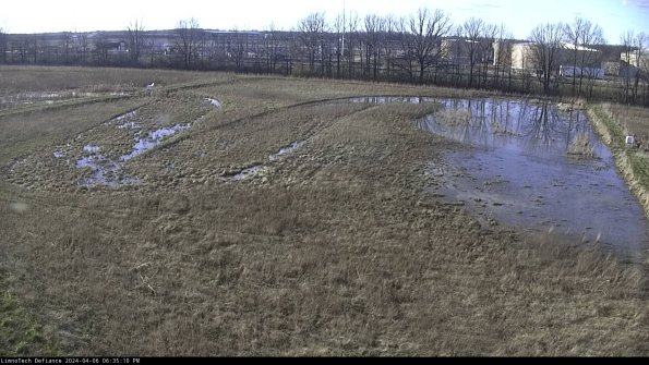 Cell 3_24-04-06_18-35-11-31