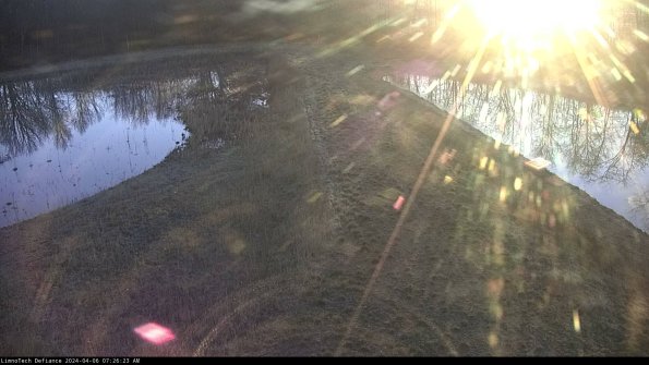 Cell 4 to Basin_24-04-06_07-26-24-34