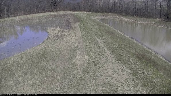 Cell 4 to Basin_24-04-06_14-08-15-31