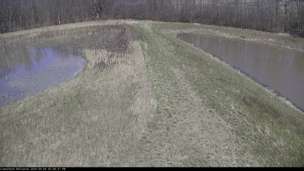 Cell 4 to Basin_24-04-06_15-48-42-34