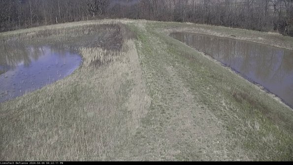 Cell 4 to Basin_24-04-06_16-22-12-32