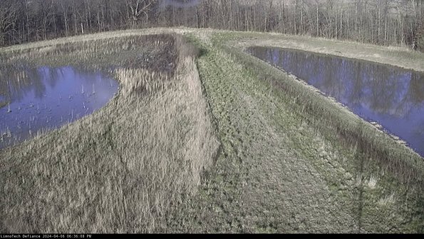 Cell 4 to Basin_24-04-06_18-36-09-34