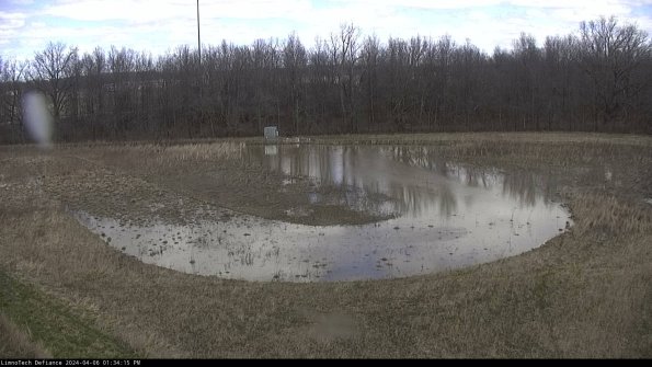 Cell 4_24-04-06_13-34-16-33